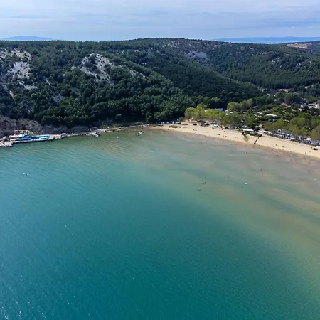 10402a 公寓 洛帕